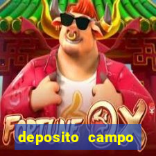 deposito campo grande santos